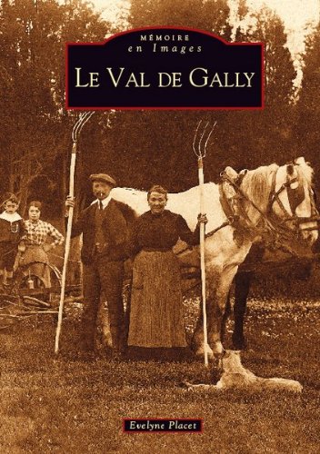 Le  val de Gally