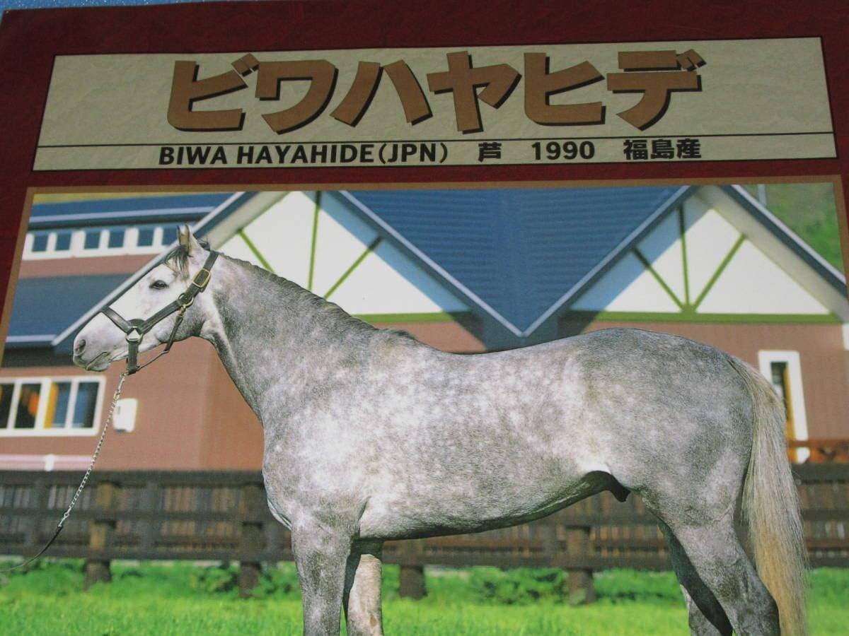 Amazon 懐かしの 非売品 種牡馬カタログ パンフレットビワハヤヒデ 1990福島生 母パシフィカス 菊花賞 天皇賞 春 宝塚記念 93年度代表馬 おもちゃ ホビー