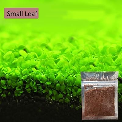 growtrax seeded wildflower blanket Annual & Perennial Wildflower Meadow – GrowTrax Grass main image 0