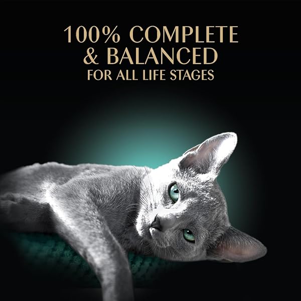 SHEBA PERFECT PORTIONS WET CAT FOOD CUTS IN GRAVY, ROASTED CHICKEN ENTREE AND WITH SUSTAINABLE TUNA, 2.6 OZ. TWIN-PACK TRAYS (12 COUNT, 24 SERVINGS)