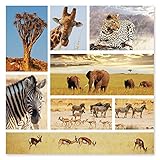 Melissa & Doug 1,000-Piece Safari Shapshots Jigsaw Puzzle (2 x 2 feet)