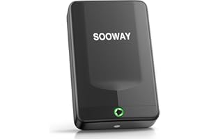 SOOWAY Gun Safe, Small Pistol Safe Biometric Gun Safe for Handgun, Portable Fingerprint Quick Access Gun Lock Box for Car Travel Nightstand Bedside