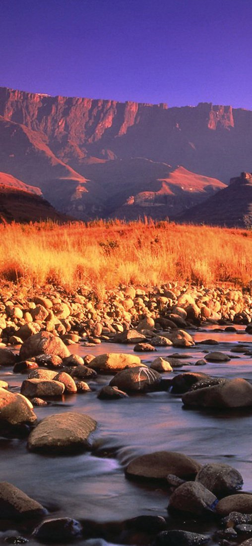 PeelitStickit, Beautiful Nature Wall Murals, ID-0968, vinyl