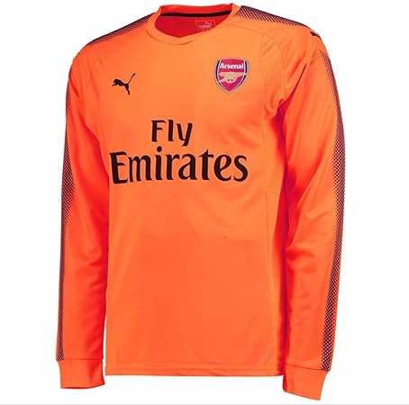 arsenal goalie kit