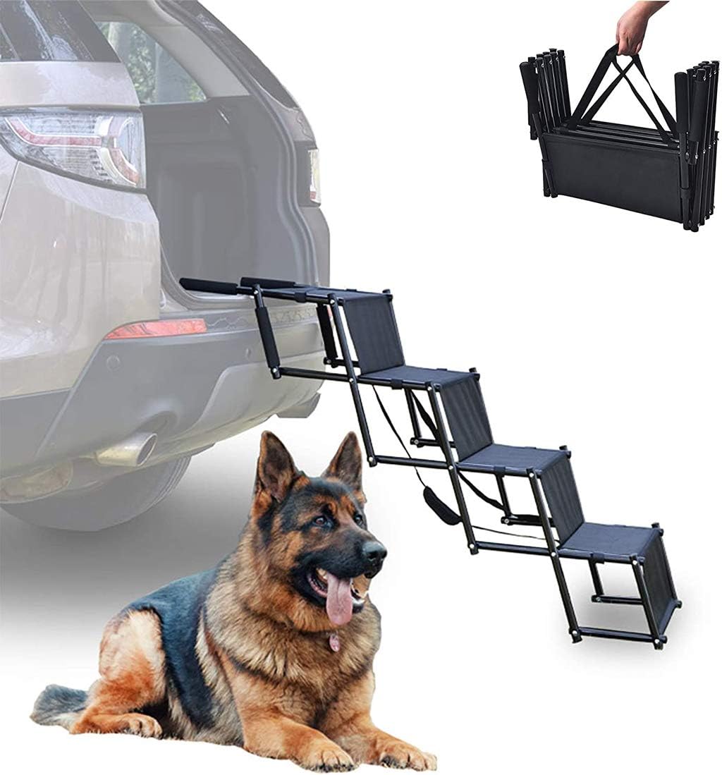 labrador x kelpie puppies for sale