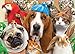 Springbok The Waiting Room Jigsaw Puzzle (100-Piece)