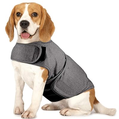 Royal Wise Dog Thunder Jacket, Comfortable Vietnam Ubuy