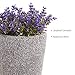 AIGOCEER Essential Oil Diffuser, 200ml Artificial Lavender Potted Aromatherapy Diffuser Humidifier with Adjustable Mist Mode and Auto Shut-Off Function, Perfect for Home Office Spa-Room Baby Roomthumb 1
