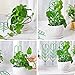 WINGOFFLY DIY Garden Plant Pot Mini Climbing Trellis Plant Support(9 Pack)