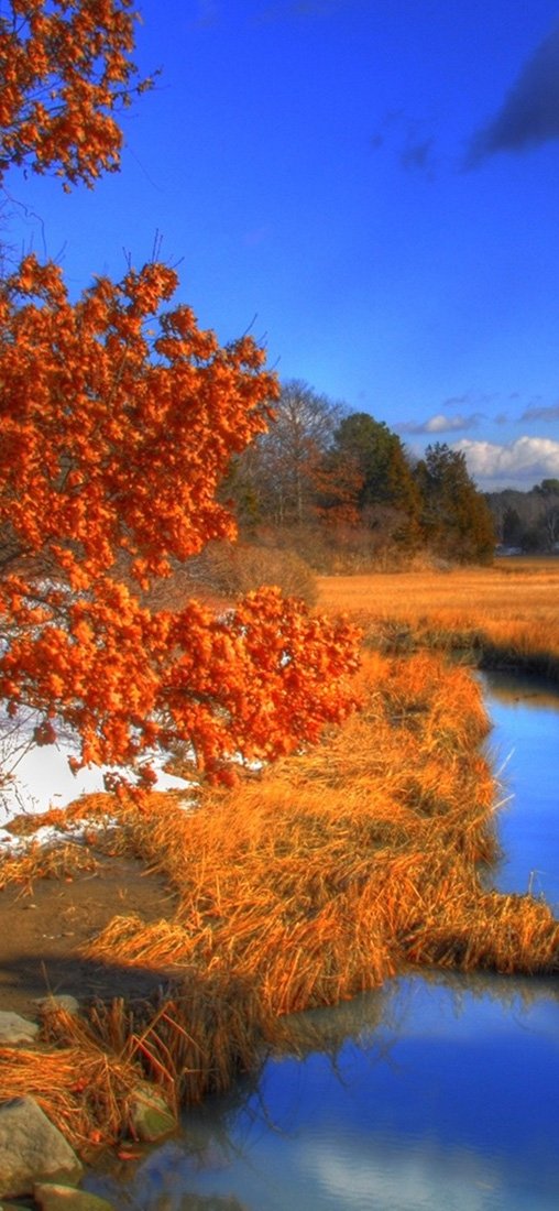 PeelitStickit, Beautiful Nature Wall Murals, ID-1083, vinyl