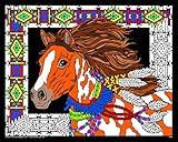 Desert Stallion - 16x20 Fuzzy Velvet Coloring Poster