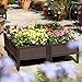 T4U Plastic Elevated Raised Garden Bed Kits for Flowers and Vegetables, Easy Assembly Planter Box Container for Indoor Outdoor Patio Backyard Porch Garden Decoration (19.5×19.5×9.8in/50x50x25cm)thumb 2