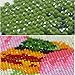 Leepakyuan DIY 5D Diamond Painting by Number Kits, Full Drill Crystal Rhinestone Embroidery Pictures Arts Craft for Home Wall Decor Gift, Aggressive Tiger, 12inch×16inch