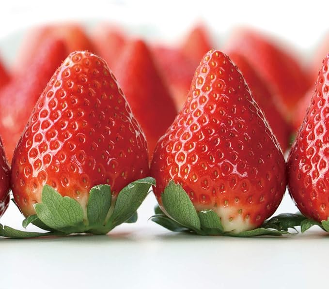 Amazon いちご イチゴ スカイベリー 3g 2パック 栃木産 ストロベリー 苺 ノーブランド品 いちご 通販