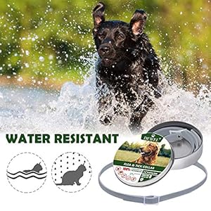 jianghui - Collare Anti-pulci per Cani jianghui jianghui - Collare Anti-pulci per Cani