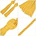 TecUnite Graduation Cords Honor 2025 Polyester Yarn Decorative Garland Twist Ties with Tassels for Bachelor Gown Graduation(Gold)