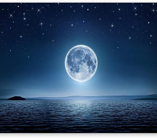 Amazon 3d 壁紙 カスタム ラージ 不織布 壁画装飾 月 海 夜 天国 星 月 Mqlerry 壁紙 Amazon 3d 壁紙 カスタム ラージ 不織布 壁画装飾 月 海 夜 天国 星 月 Mqlerry 壁紙