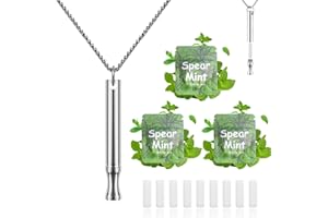 LAMKHOO Breathing Necklace to Quit Smoking and Vaping with Refillable Mint Pods Stop Smoking Aids Fidget Necklace for Anxiety Relief Smokeless Inhaler for Adults (Silver)