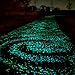 PROMENE 200pcs Glow in the Dark Garden Pebbles, Green and Blue for Walkway Yard and Decor DIY Decorative Gravel Stones (200PCS)