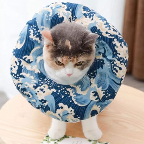 Tela anti gatos | Todo gatos