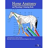 Horse Anatomy and Physiology Colouring Book: A Detailed Guide to Equine Anatomy with Answers | Perfect Gift for Veterinary Students, Animal lovers, Adults, and Teens