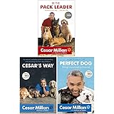 Cesar Milan 3 Books Collection Set (How to Raise the Perfect Dog, Cesar's Way: Everyday Guide to Understanding & Correcting C