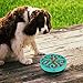 Decyam Pet Fun Feeder Dog Bowl Slow Feeder, Bloat Stop Dog Food Bowl Maze Interactive Puzzle Dog Bowl Non Skid (BLUE A)