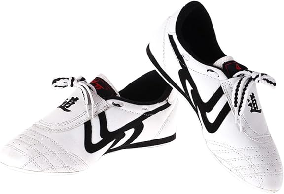 taekwondo shoes nike