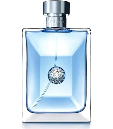 Chanel Égoiste Platinum 100ML EDT : Amazon.com.br: Beleza