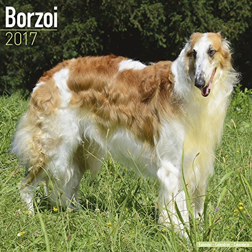 Borzoi Calendar 2017 - Dog Breed Calendars - 2016 - 2017 wall calendars - 16 Month by Avonside