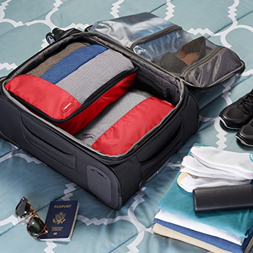 Amazon Basics 4 Piece Packing Travel Organizer Cubes Set 2 Medium and