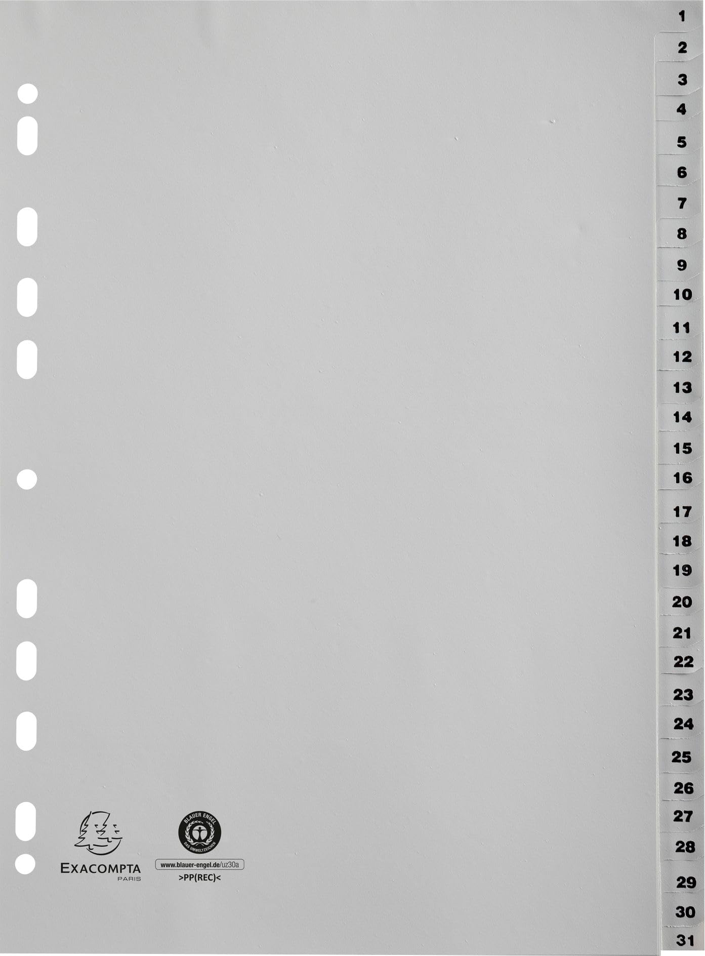 Exacompta - Ref 1931E - PP Printed Indices - For Use With A4 Documents, 0.1mm Polypropylene, Pre-Punched, Soft & Tear Resistant - 31 Divider Parts (1-31) - Grey