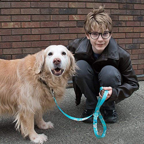 buttonsmith dog collars