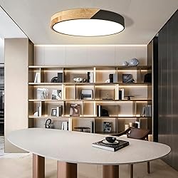 Led Ceiling Light Flush Mount: 15.8 Inch 30W