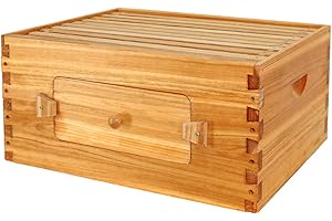 BeeCastle 10 Frame Deep Bee Hive Box, Langstroth Beehive Boxes Dipped in 100% Natural Beeswax with Window, Beehive Frames and Beeswaxed Foundations (Unassembled)