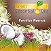 Air Wick® Life Scents™ Scented Oil Warmer Refill, 0.67 Oz, Paradise Retreat, Pack Of 2