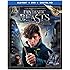Fantastic Beasts and Where to Find Them (Blu-ray + DVD + Digital HD UltraViolet Combo Pack)