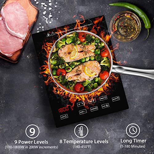 1 Induction+Countertop+CUSINAID+Stainless+Cookware