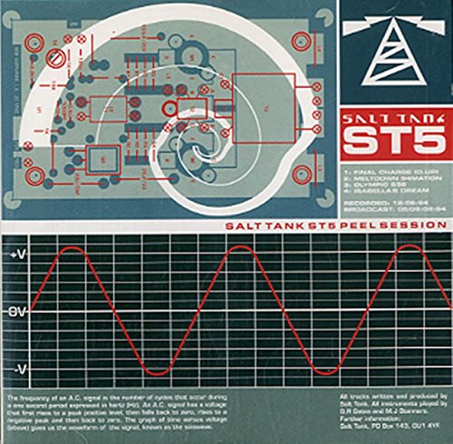 Salt Tank - 100 Chillout Classics The Ultimate Chillout Collection - Zortam Music