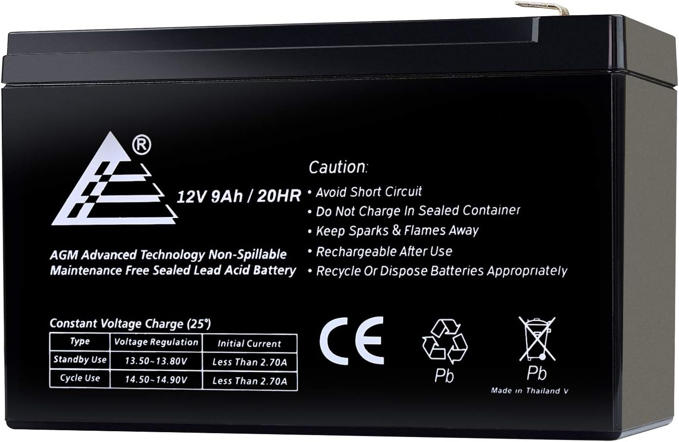 ExpertPower EXP1290-2 12V 9AH SLA Battery: Automotive