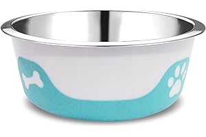 PALZ&CO Thermocool Stainless Steel Dog Bowls, Non Slip, No Spill Insulated Dog Bowl, Keeps Food Warm & Water Cold for Dogs, Dishwasher Safe (Light Blue, Large 32 Oz)