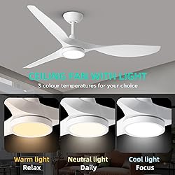 Roomratv Ceiling Fans with Lights,Large Airflow