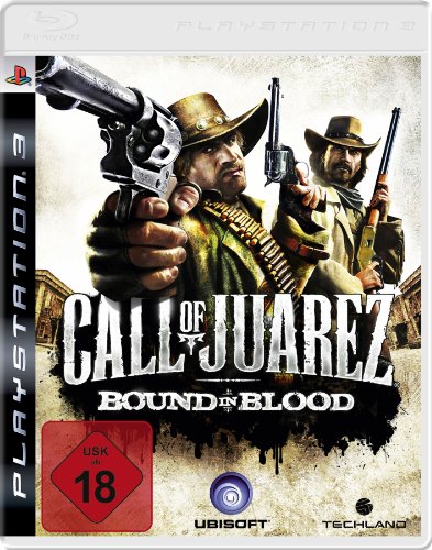 Call of Juarez : Bound in Blood