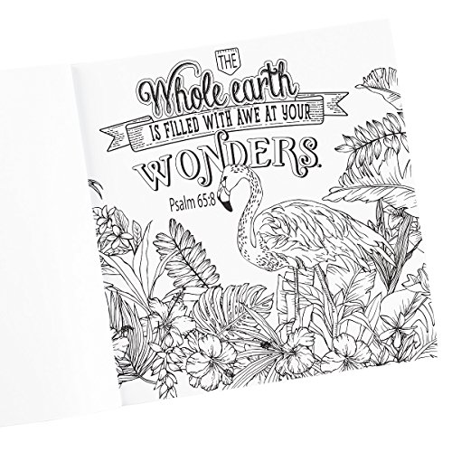 "Shine": Color Your Life Beautiful Inspirational Adult Coloring Book