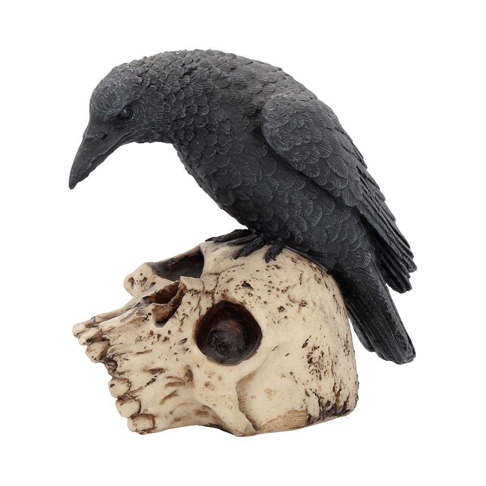 Nemesis Now Ravens Remains Figurine 13cm, Crow Skull Gothic Ornament, Black