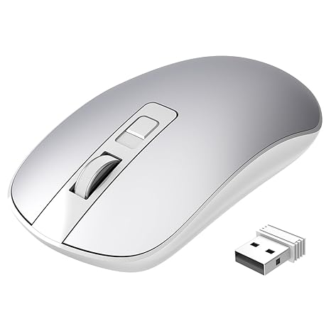 TOPELEK Laptop Maus, PC Maus Optical Business Mouse Schnurlos Computer Wireless 2.4G Intelligente Drahtlose Mäuse Geräuschlos
