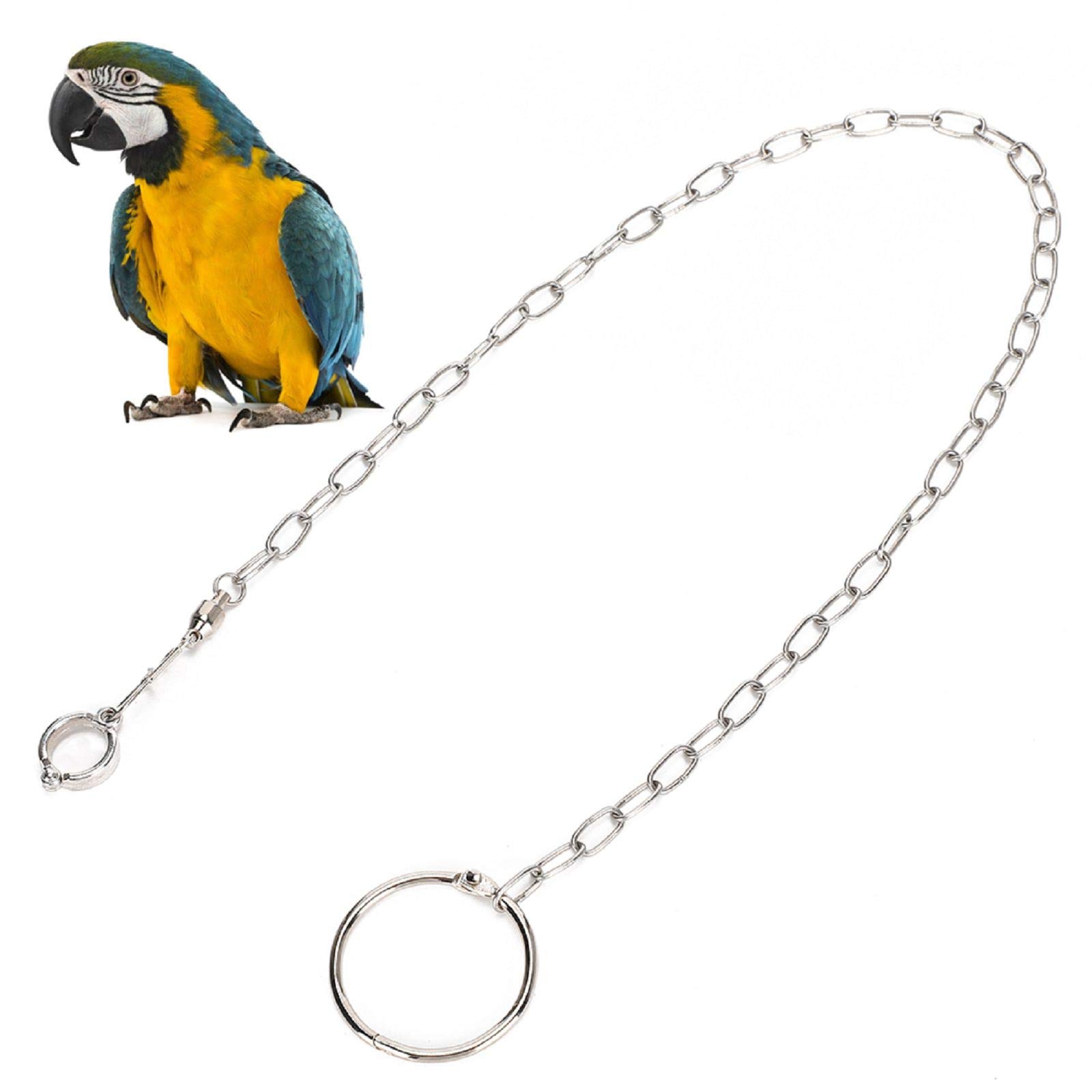 Parrot Foot Chain Anti-Bite Foot Ring Bird Harness Stainless Steel Durable Adjustable Ankle Weights for Birds Parrots Pet Training (11MM)