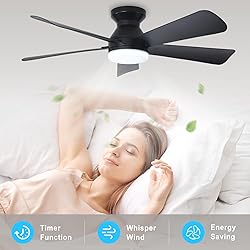 Depuley Modern Ceiling Fan with Light: 42-Inch