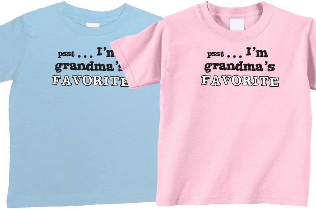Twin Boys Gift Set Size 12-18 mo thru 4T (Includes 2 T-shirts)