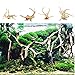 Tfwadmx Aquarium Driftwood Natural Wood Trunk Branch Reptile Driftwood Tree Aquarium Fish Tank Plant Stump Ornament Decor 4 PCSthumb 2